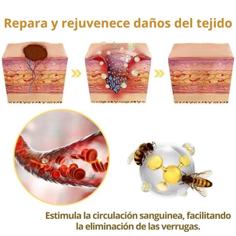 DERMABEE - Tratamiento con veneno de abeja